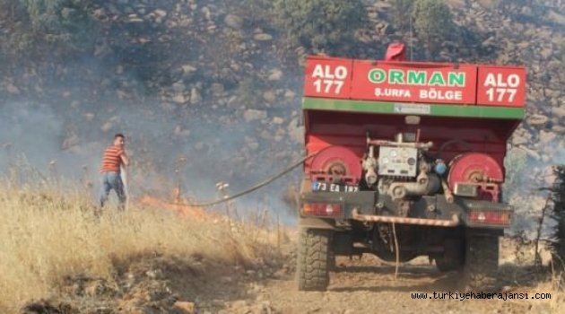Cudi Dağı'nda Yangın!
