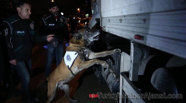 Dedektör Köpek Alfa'dan Büyük Vurgun