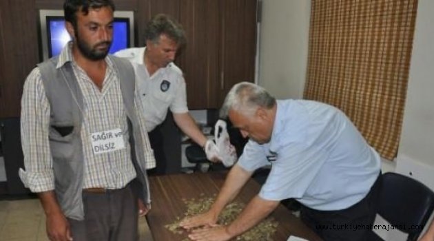 Dilencinin Günlük Kazancı Şaşırttı