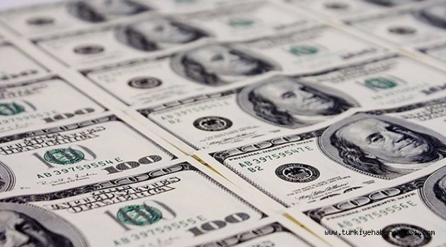 Dolardaki Yükseliş En Çok İki Sektörü Vuracak