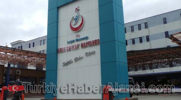 Domuz Gribi Ordu'da Can Aldı