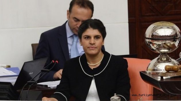 HDP Tepkiden Korkup Öcalan'ı Çekti