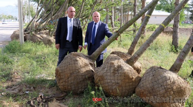 Ilıcalı’dan Büyükşehir’in Yatırım ve Hizmetlerine Tam Not