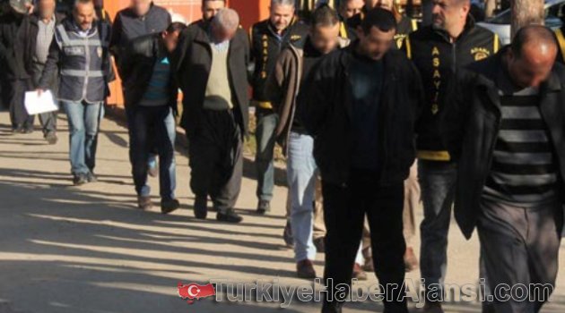İşkenceli Fuhuşun Şifresi: At, Kısrak, Ahır