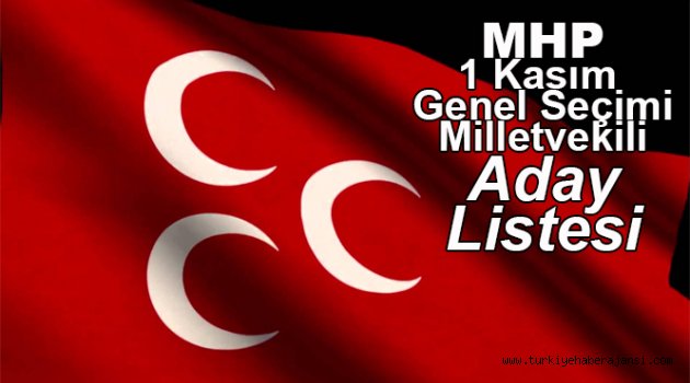 İşte 2015 MHP Milletvekili Aday Listesi
