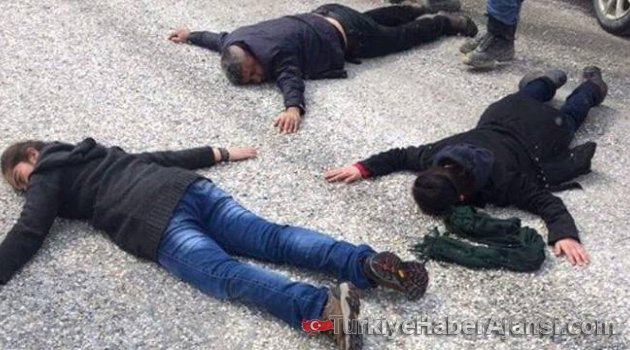 Kandil'e Kaçmaya Çalışan 4 Terörist Yakalandı