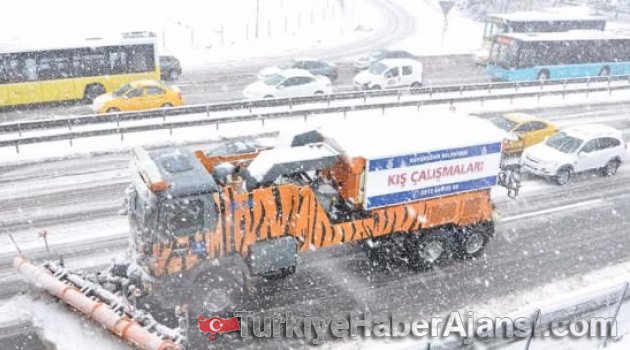 Kar Kaplanı İstanbul'u Kurtardı