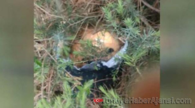 Kartal'da Patlayıcı Bulundu!
