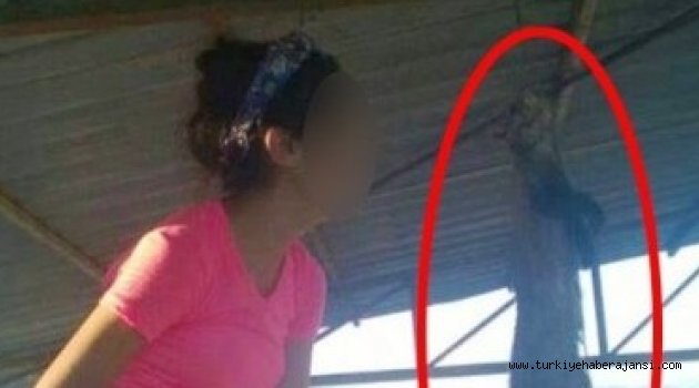 Kediyi Asıp Sevgilisine Mesaj Gönderdi