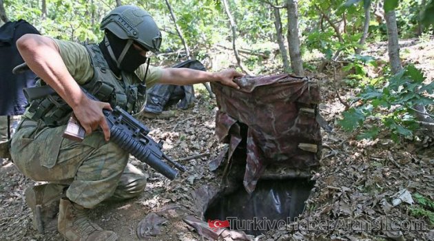 Lice'de PKK'ya Ağır Darbe
