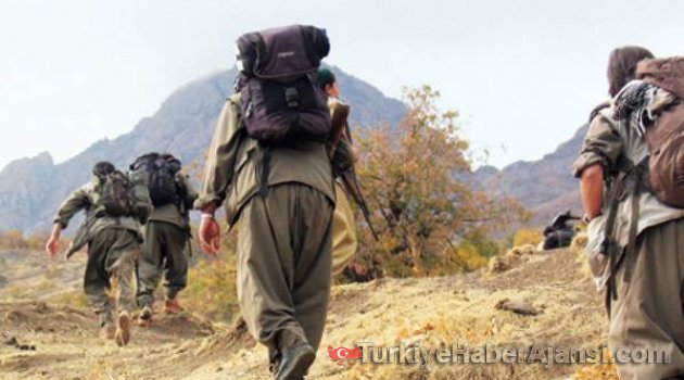 Mardin'de PKK'ya Bir Darbe Daha!