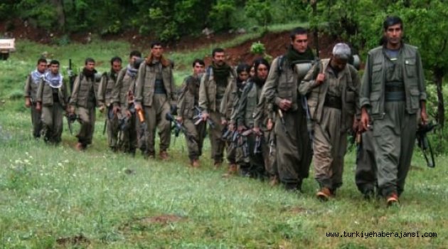 PKK, ABD Silahlarıyla Türkiye'ye Geliyor