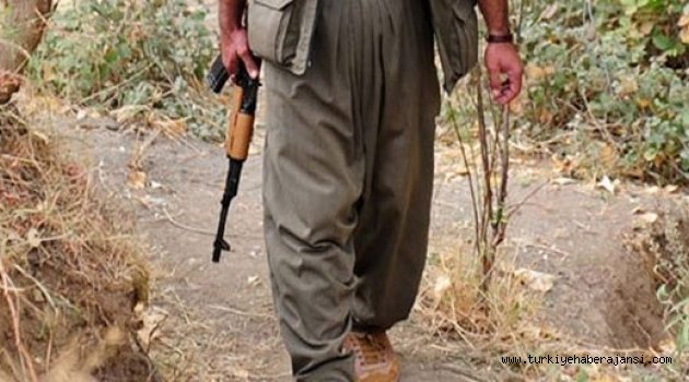 PKK Kış İçin Hazırlık Yapıyor
