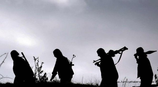 PKK'dan İki Karakola Saldırı
