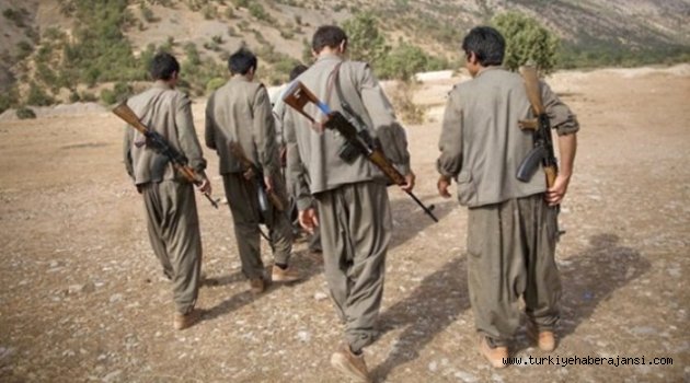 PKK'nın Zulasından Bakın Ne Çıktı!