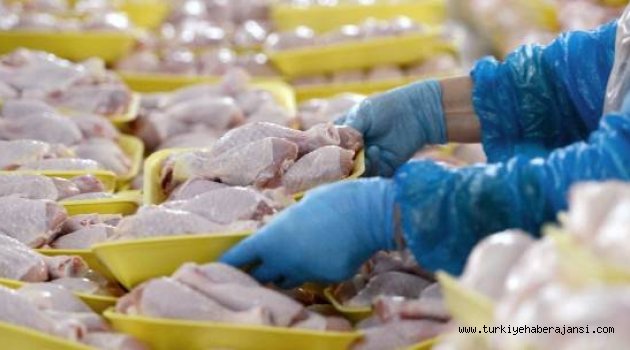 Rusya, Türkiye'den Tavuk Eti Alımını Durduruyor