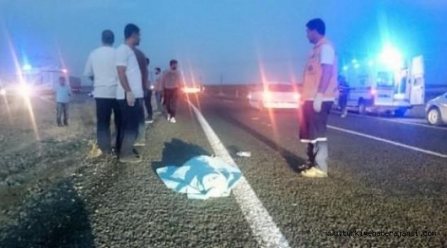 Şanlıurfa'da Feci Kaza!