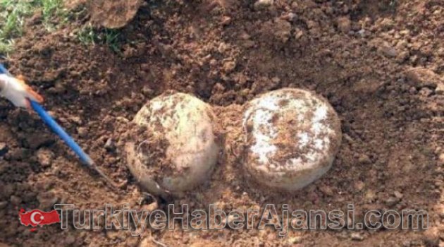 Şanlıurfa'da Patlayıcı Bulundu