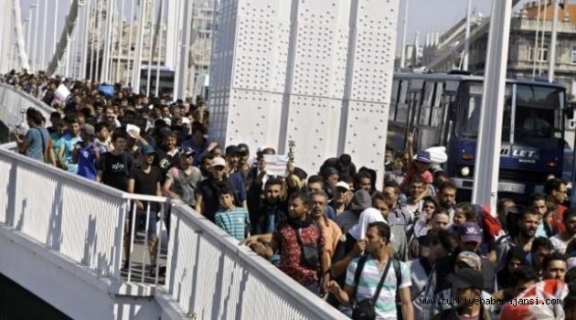 Sığınmacılar Yürüyerek Avusturya'ya Gidiyor