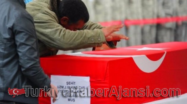 Sur Şehitleri Memleketine Uğurlandı