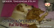 Bu Filmin Baş Rolde Sokak Köpekleri ve Çocuklar Var