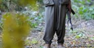 Şırnak'ta 7 PKK'lı Teslim Oldu
