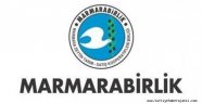 Marmarabirlik Yükselişte