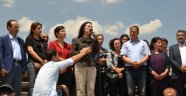 Nasıl Olsa Mehmet Çok, Ölmeleri Umurlarında Değil
