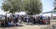 PKK 80 Yaşındaki İslam Alimini Katletti