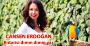 Cansen Erdoğan'ın son yazısı Entarisi dımm dımm yar!