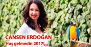 Hoş gelmedin 2017!