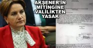 'Hollanda'nın Niğde'de Valisi mi Var?'