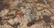 Adıyaman'da 1600 Yıllık Mozaik Bulundu