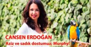 Aziz ve sadık dostumuz; Murphy!