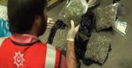Bebek Maması Paketinden Bonzai Çıktı