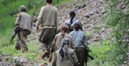 Bitlis'te Teröristler Yol Kesti