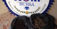 Bursa'da Esrar Operasyonu