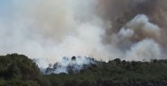 Çanakkale Gelibolu Yarımadası'nda Orman Yangını