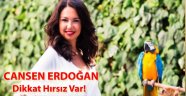 Cansen Erdoğan'ın son yazısı Dikkat Hırsız Var!
