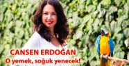Cansen Erdoğan'ın son yazısı O yemek, soğuk yenecek!