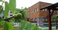 Ceviz Bahçesi’nde Ağaçlar Meyve Verdi
