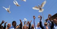 CHP'li Vekillerden Barış Mesajı