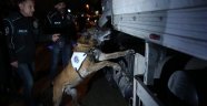Dedektör Köpek Alfa'dan Büyük Vurgun