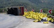 Devrilen TIR'ın Şoförü Öldü
