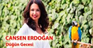 Düğün Gecesi