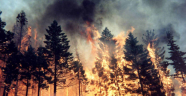 Gerede'de Orman Yangını