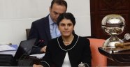 HDP Tepkiden Korkup Öcalan'ı Çekti