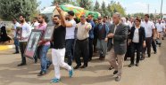 HDP'li Vekiller, Teröristin Cenazesine Katıldı