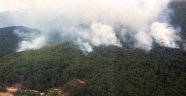 Kazdağları'nda 4 Ayrı Noktada Yangın Çıktı!