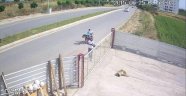 Köpeği Pompalı Tüfekle Acımazca Öldürdü!